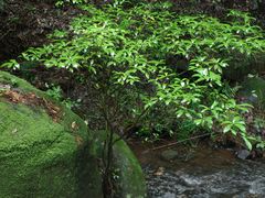 -昆明青龙峡风景区