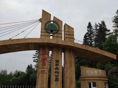 -五营红松林海景区