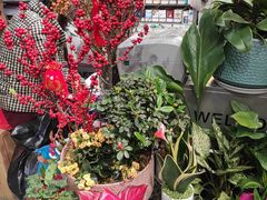 -FEI FEI FLOWER鲜花店·气球派对·宝宝宴布置(虹口德必运动Loft店)