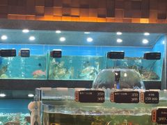 -欧记·龙城港(欣都店)