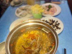 -千岛蚝高压锅生蚝·人参火锅(白云万达店)