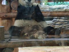 -西霞口神雕山野生动物世界