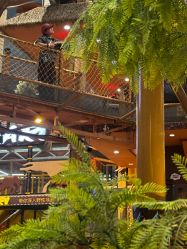 -卡通尼·Safari非洲探索乐园·生日会(金桥国际商业广场店)