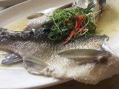 -水乡人家私房菜(逢简店)