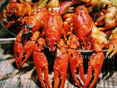 秘制龙虾-赤甲皇(仙霞路店)