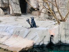 -上海野生动物园