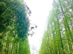 -上海怡沁园度假酒店
