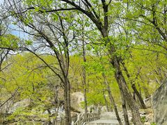 -天津盘山风景名胜区