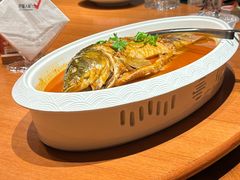 浓汤功夫大鲤鱼-巴盟人家·内蒙地方菜(华丽家族店)