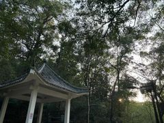 -广州市白云山风景名胜区