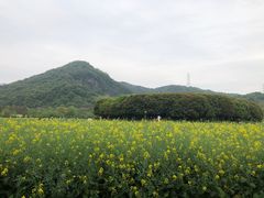 -八卦田遗址公园