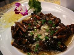 -新聚丰菜馆(太监弄店)