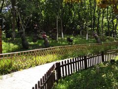 -天目湖山水园