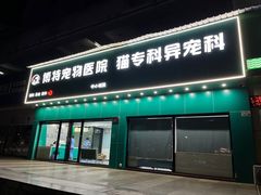 -博特宠物医院24h犬猫全科.骨科·异宠
