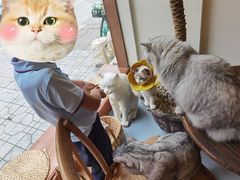 -猫友咖啡店(玉林西路店)