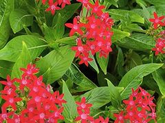 -福田红树林生态公园