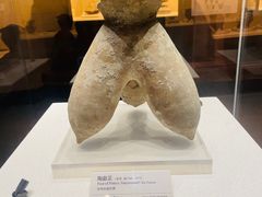 -蓬莱阁景区