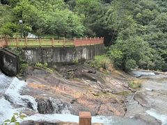 -广州白江湖森林公园