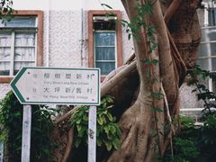 -南丫岛