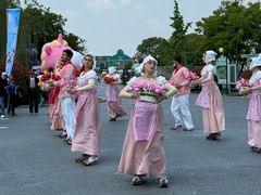 -荷兰花海