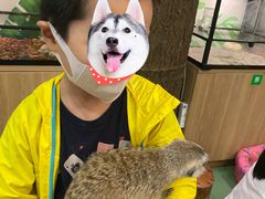 -藦茜花园宠物主题亲子互动体验馆(国顺东路店)