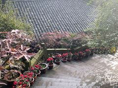 -峨眉山报国寺