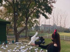 -南通洲际绿博园