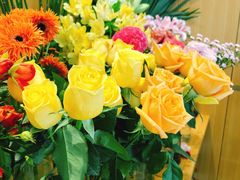 -蝶舍·MAISON PAPILLON