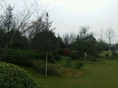 -桃花岛景观公园