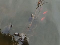 iphone_upload_pic-横山寺