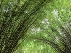 -晓港公园