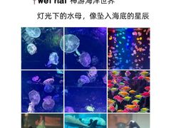 -威海华夏城景区