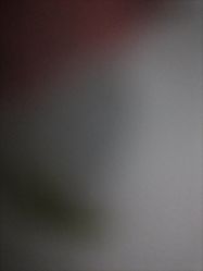 -靓莹莹美丽工作室