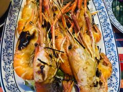 -卷心菜和避孕套餐厅(Pattaya)