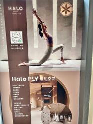 -Halo FLY运动空间
