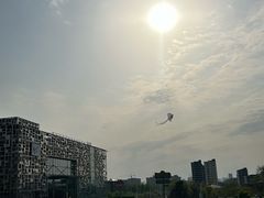 -莫子山公园
