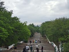 -乌素图国家森林公园