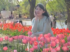 -石家庄市植物园