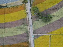 -中国天府农业博览园