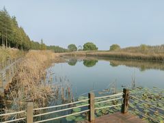 -苏州太湖湖滨国家湿地公园