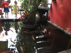 -Cuc Gach Quan Restaurant