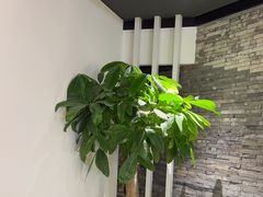 -羲和雅苑•北京烤鸭(国贸商城店)