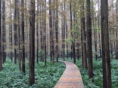 -上海怡沁园度假酒店