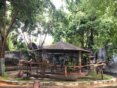 -清迈夜间动物园