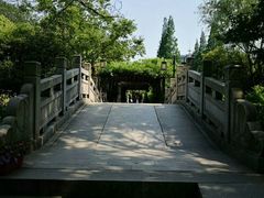 -白马涧龙池景区