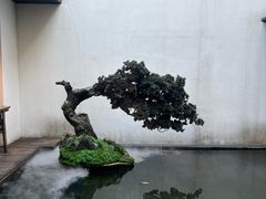 -觀芷隐轩