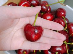 -江杨农产品批发市场