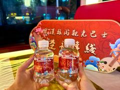 -武汉关码头(轮渡站)