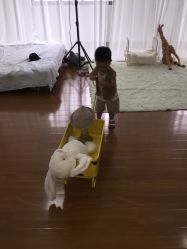 点击看大图 -星宝贝儿童摄影