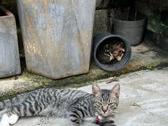-老屋咖啡